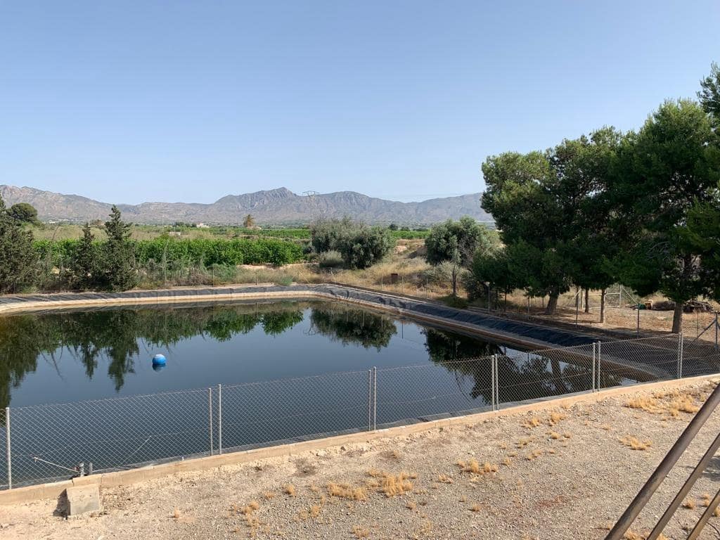 Undeveloped Land for sale in Albatera - € 195,000 (Ref: 9614019)