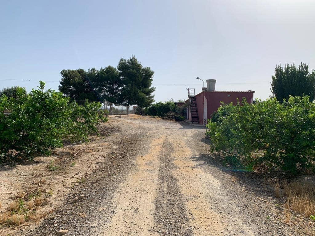 Undeveloped Land for sale in Albatera - € 195,000 (Ref: 9614019)