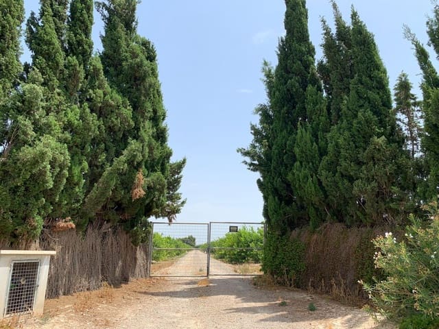 Mark till salu i Albatera - 195 000 € (Ref: 9614019)