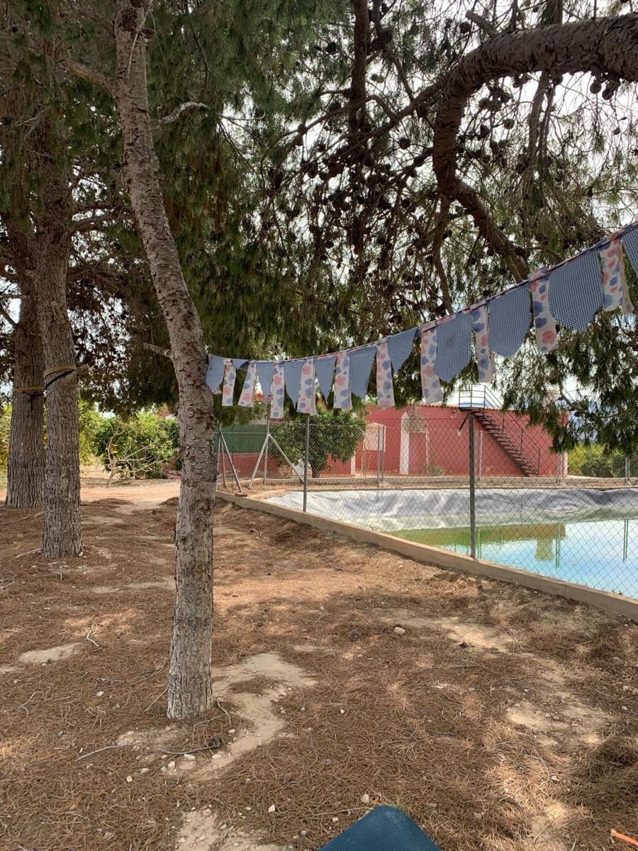 Undeveloped Land for sale in Albatera - € 195,000 (Ref: 9614019)