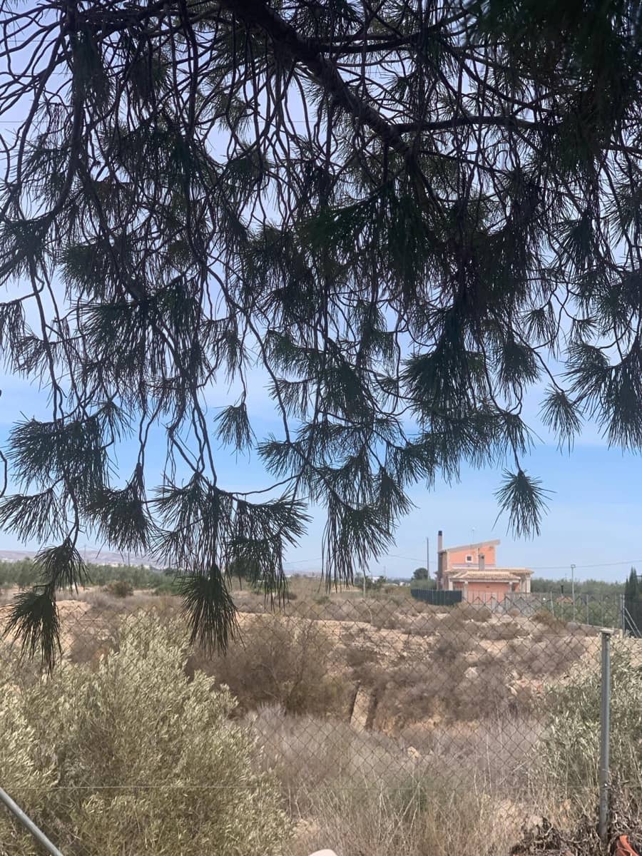 Undeveloped Land for sale in Albatera - € 195,000 (Ref: 9614019)