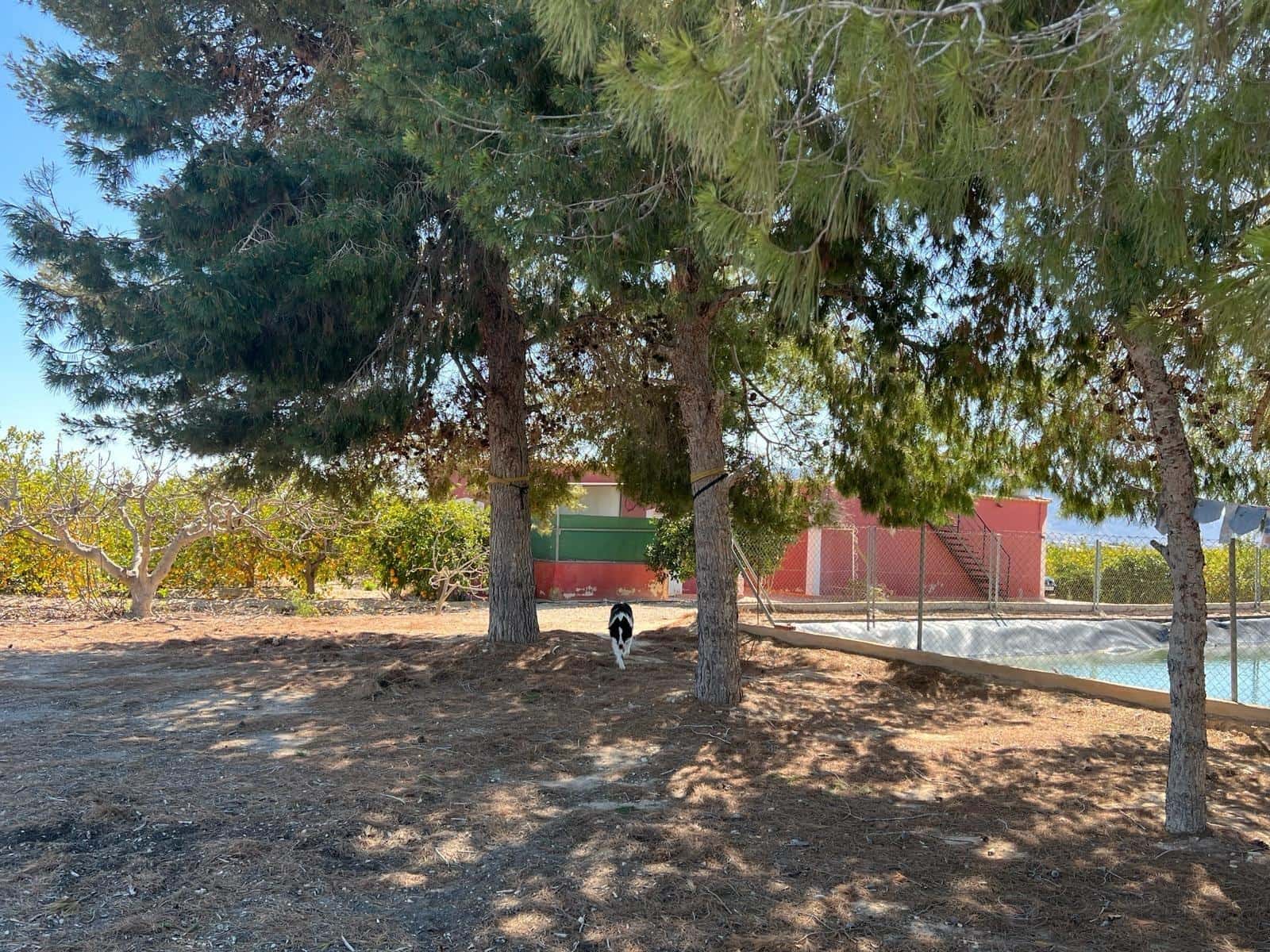 Undeveloped Land for sale in Albatera - € 195,000 (Ref: 9614019)