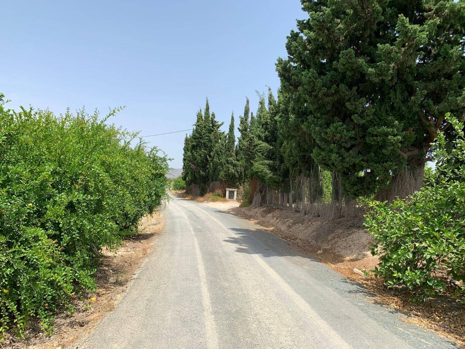 Undeveloped Land for sale in Albatera - € 195,000 (Ref: 9614019)