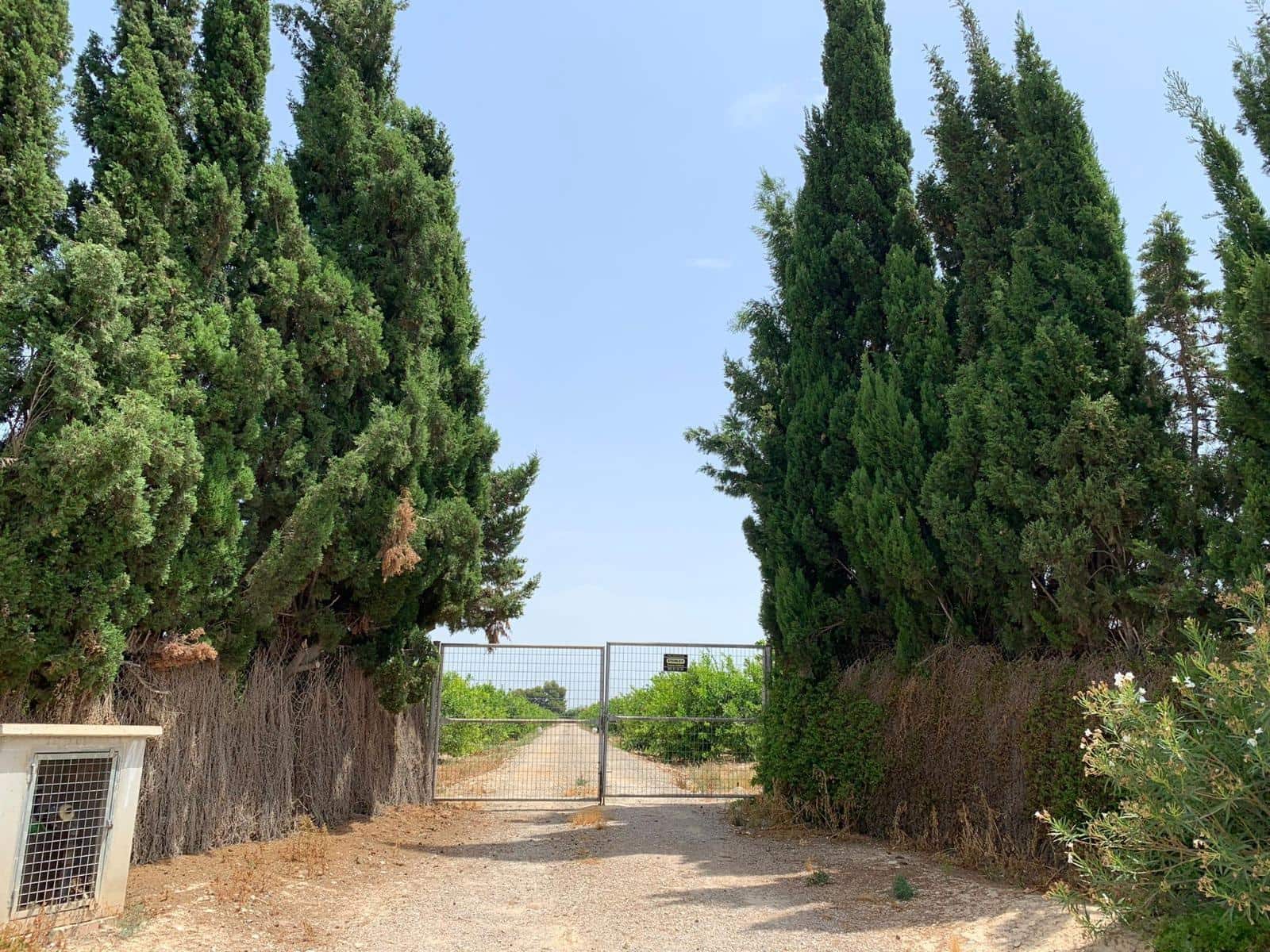 Undeveloped Land for sale in Albatera - € 195,000 (Ref: 9614019)