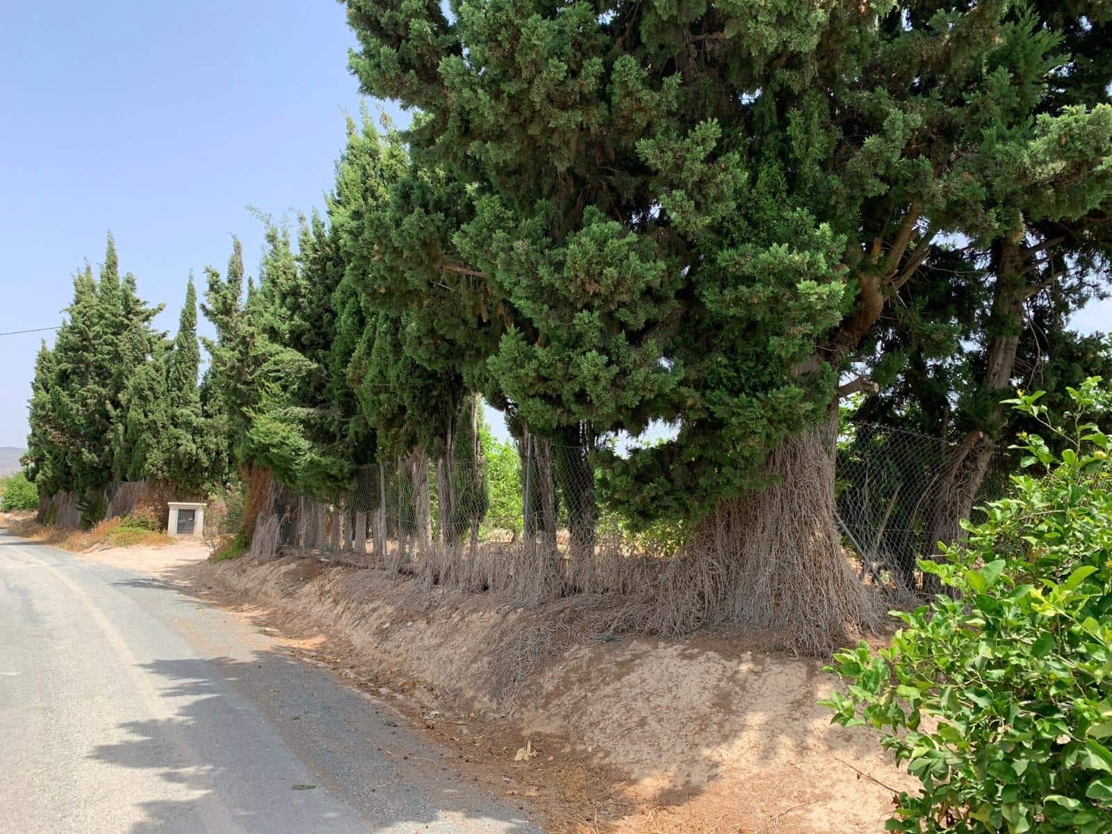 Undeveloped Land for sale in Albatera - € 195,000 (Ref: 9614019)