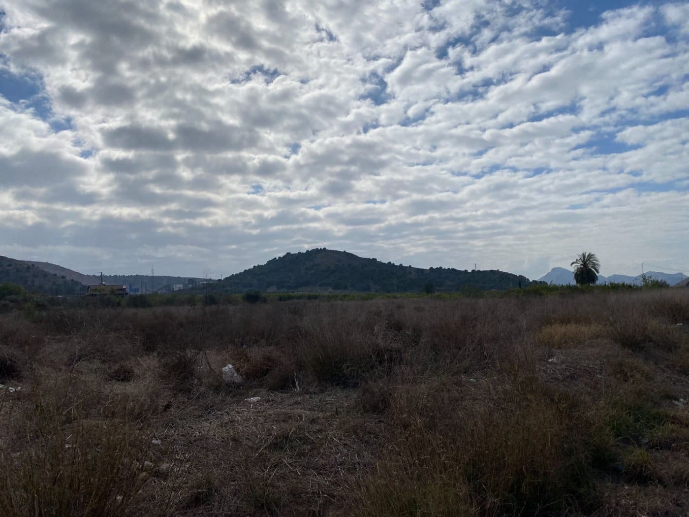 Bouwgrond te koop in Santomera - € 250.000 (Ref: 9614022)