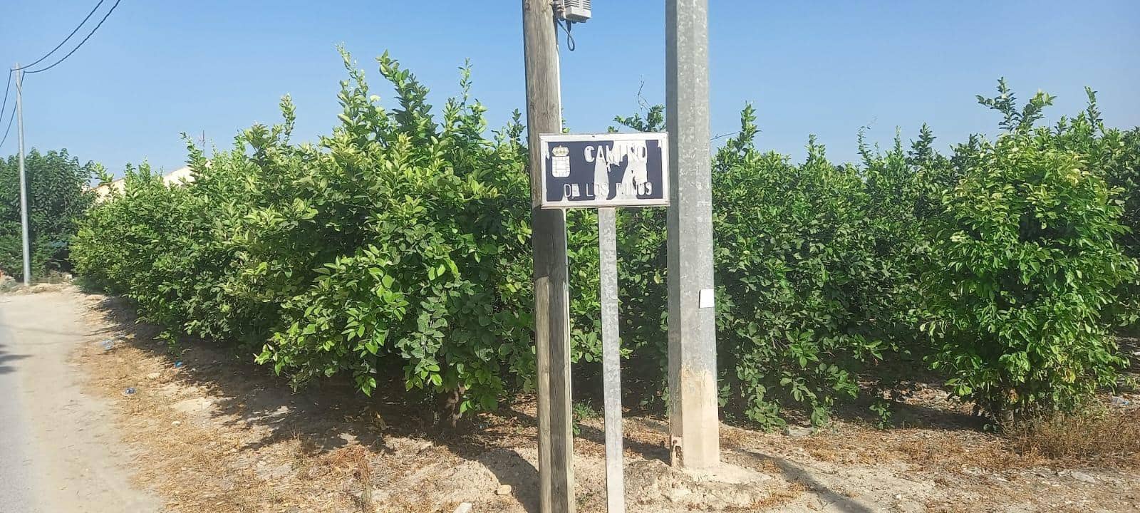 Działka budowlana na sprzedaż w Miasto Murcja - 119 000 € (Ref: 9614023)