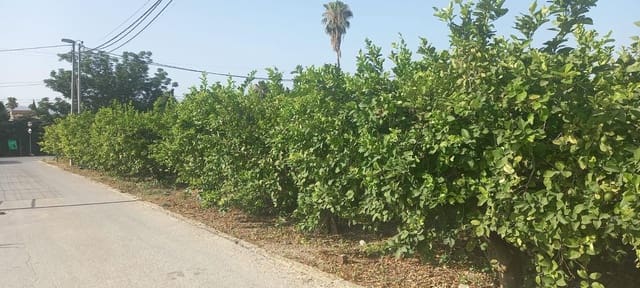 Działka budowlana na sprzedaż w Rincón de Seca, Miasto Murcja - 119 000 € (Ref: 9614023)