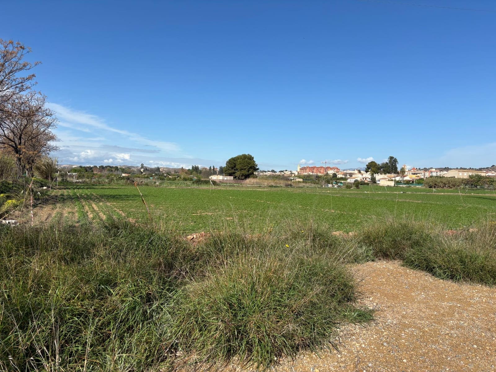 Terreno Não Urbanizado para venda em Puente Tocinos - 45 000 € (Ref: 9677501)