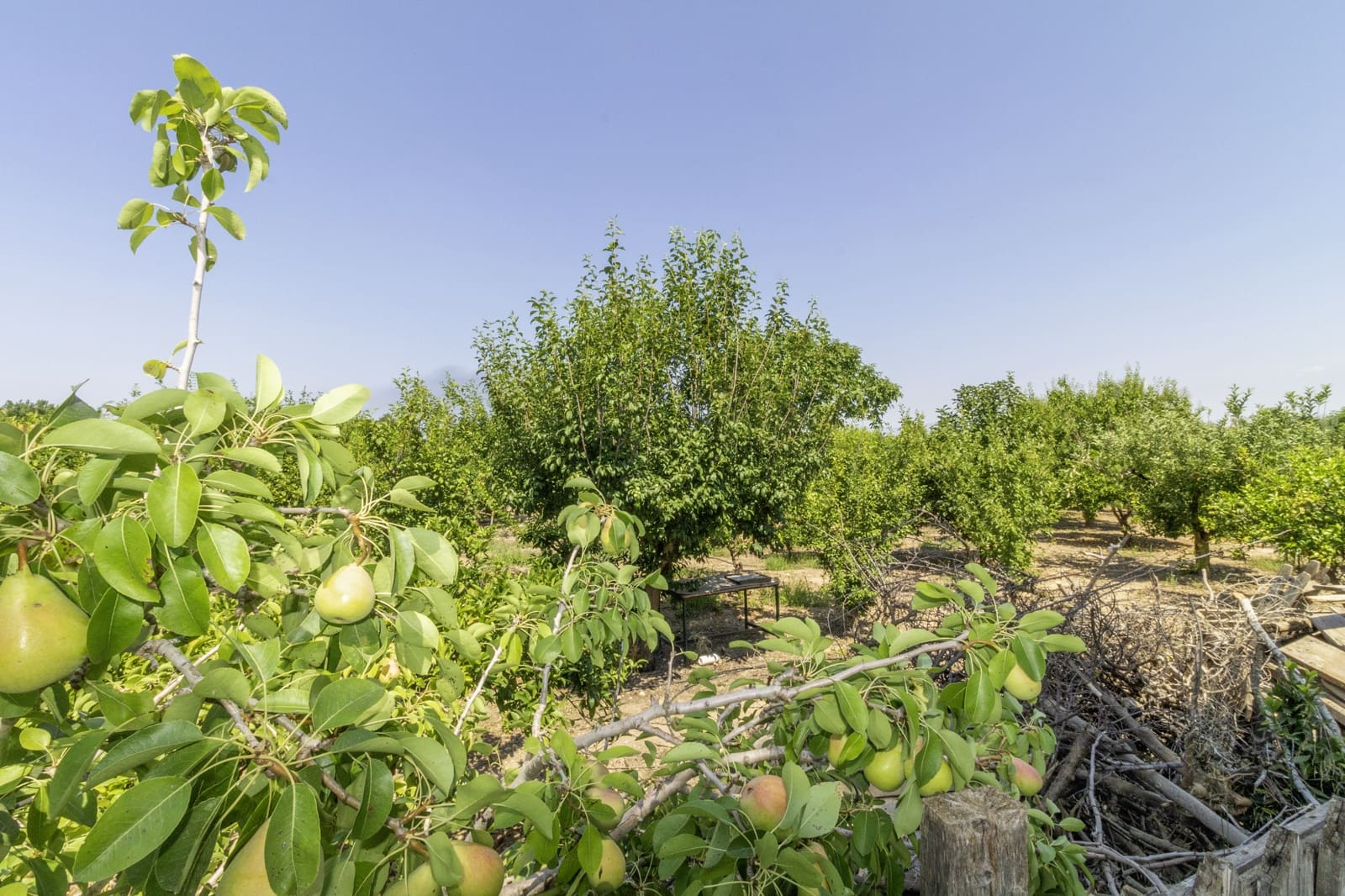 Finca/Casa Rural de 5 habitaciones en Santomera en venta con piscina - 325.000 € (Ref: 9432298)