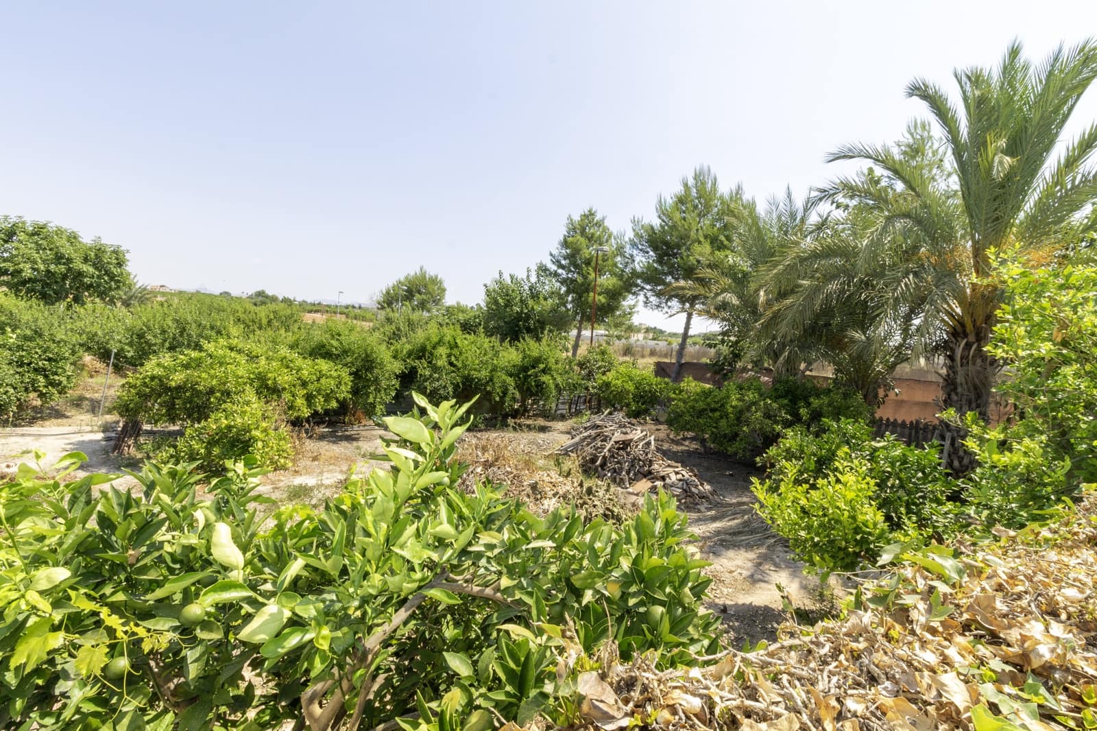 Finca/Casa Rural de 5 habitaciones en Santomera en venta con piscina - 325.000 € (Ref: 9432298)