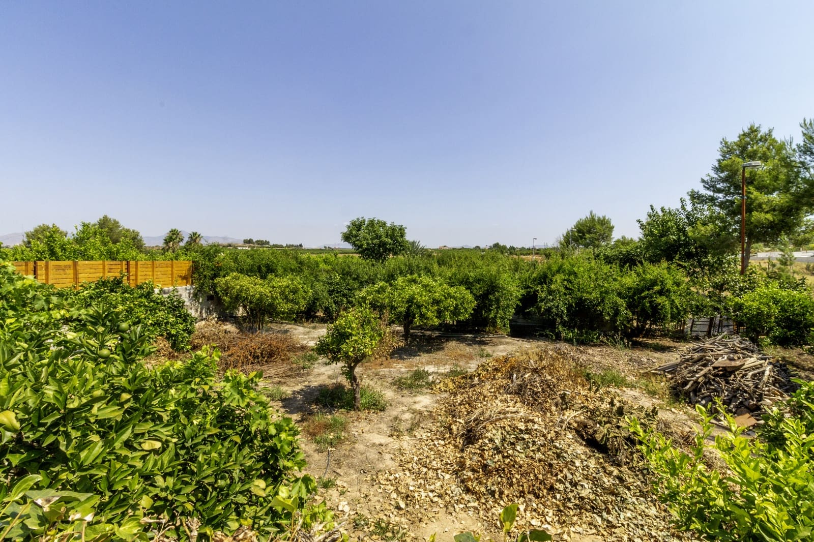 Finca/Casa Rural de 5 habitaciones en Santomera en venta con piscina - 325.000 € (Ref: 9432298)