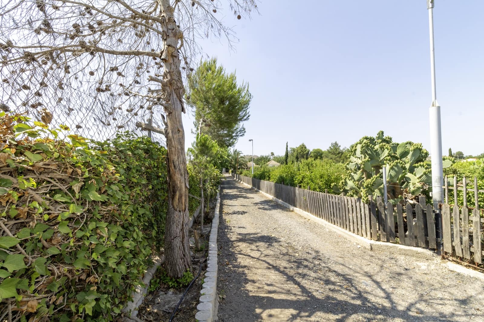 Finca/Casa Rural de 5 habitaciones en Santomera en venta con piscina - 325.000 € (Ref: 9432298)