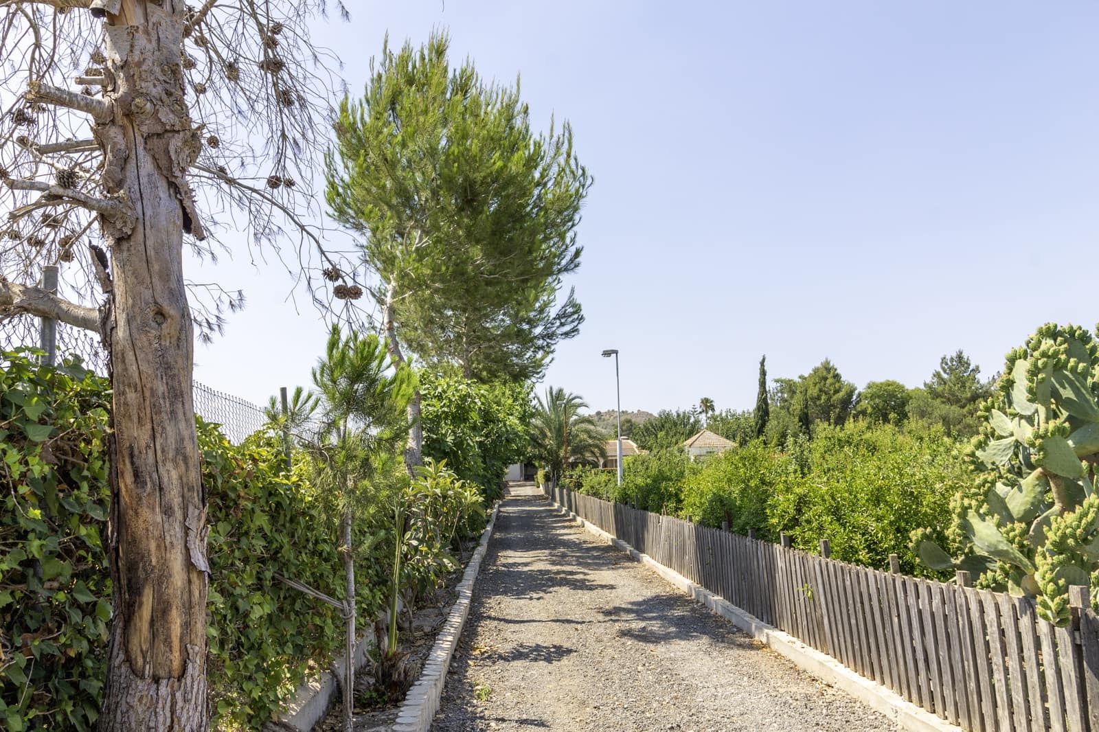 Finca/Casa Rural de 5 habitaciones en Santomera en venta con piscina - 325.000 € (Ref: 9432298)