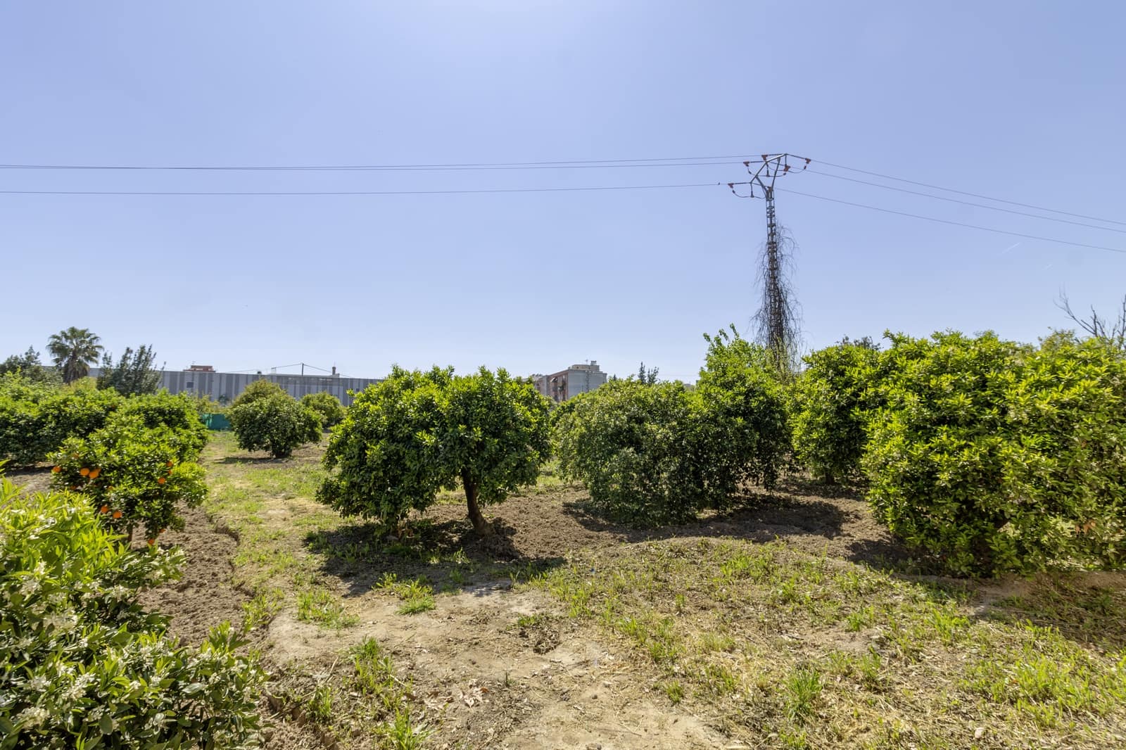 6 soverom Villa til salgs i Alcantarilla - € 475 000 (Ref: 9777212)