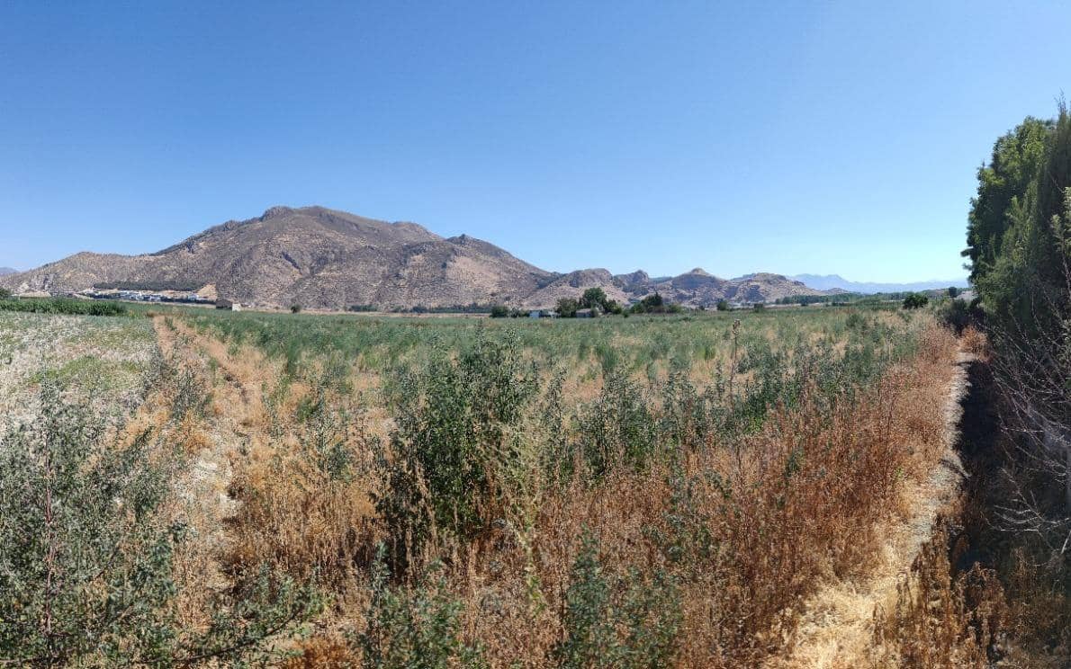 Grunde uden byggetilladelser til salg i Pinos Puente - € 25.000 (Ref: 7415561)