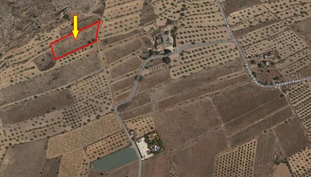 Ubebygd land til salgs i Hondón de las Nieves - € 19 990 (Ref: 8033755)