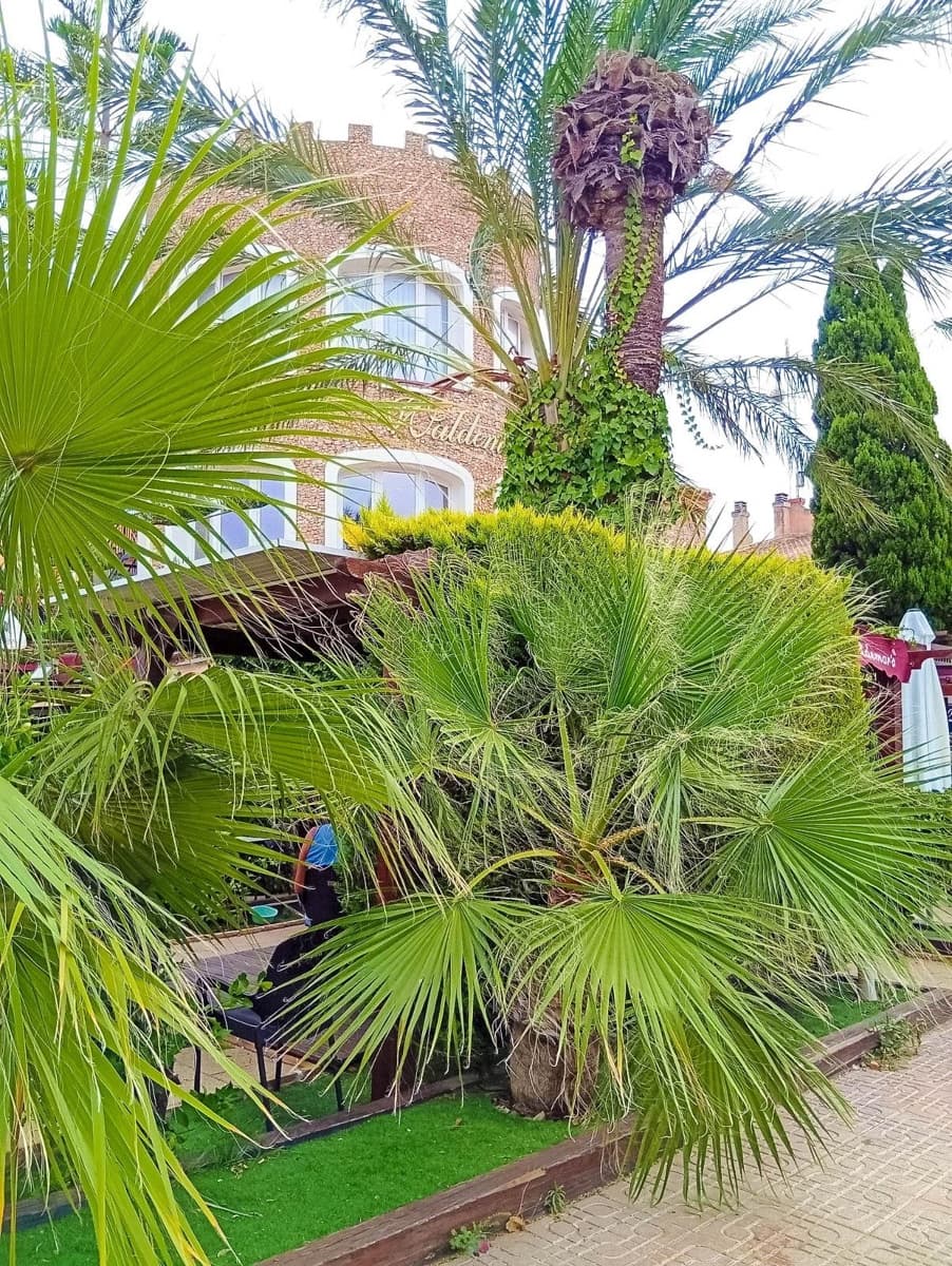 2 bedroom Apartment for sale in La Florida with pool - € 135,000 (Ref: 9154156)