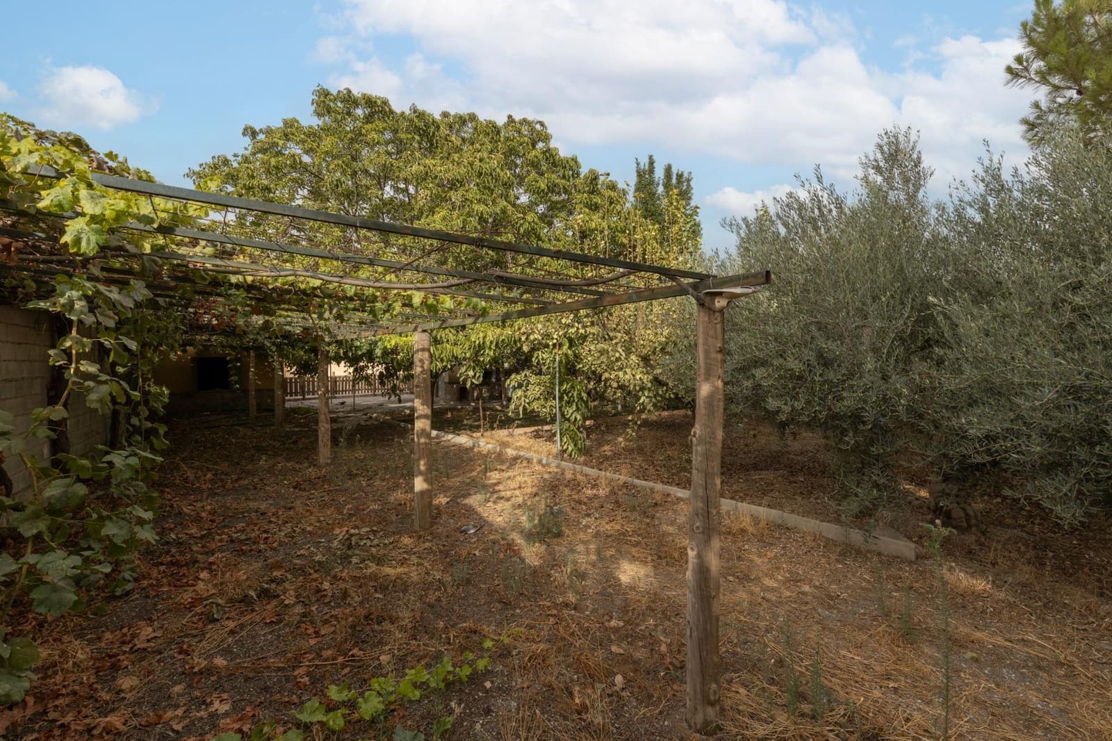 1 sypialnia Finka/Dom wiejski na sprzedaż w Alhendin z basenem garażem - 129 900 € (Ref: 9326562)