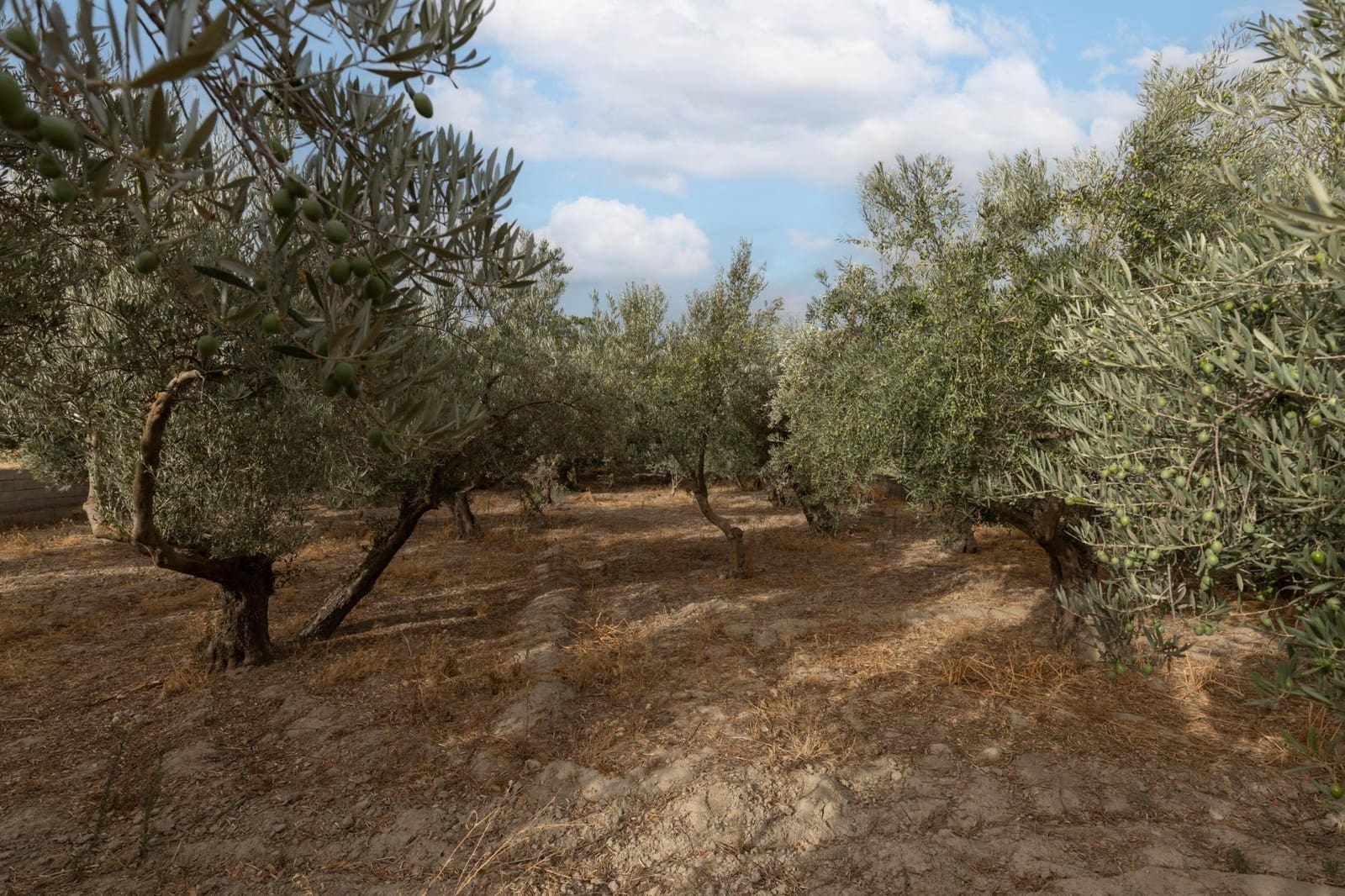 1 sypialnia Finka/Dom wiejski na sprzedaż w Alhendin z basenem garażem - 129 900 € (Ref: 9326562)