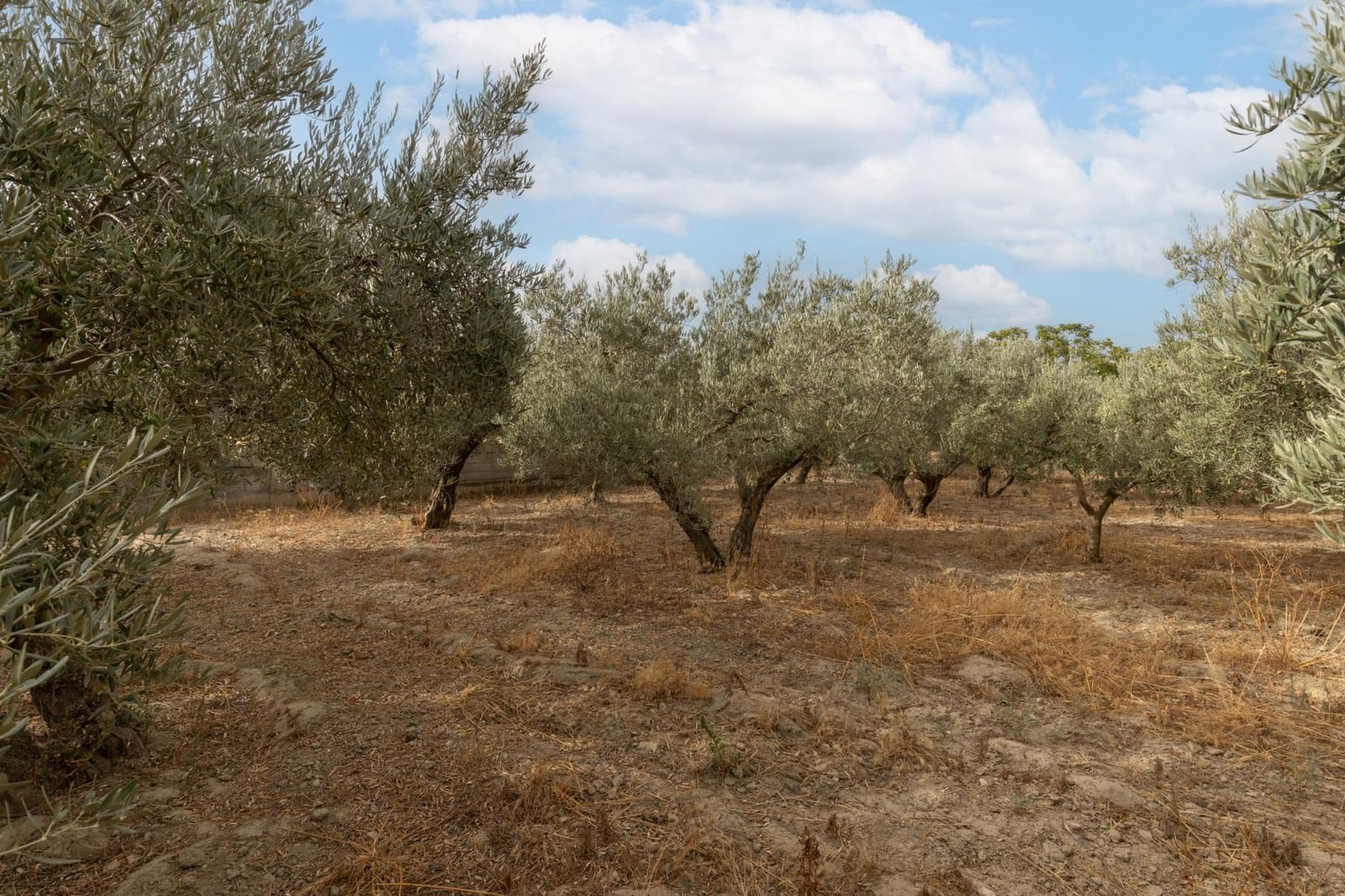 1 sypialnia Finka/Dom wiejski na sprzedaż w Alhendin z basenem garażem - 129 900 € (Ref: 9326562)