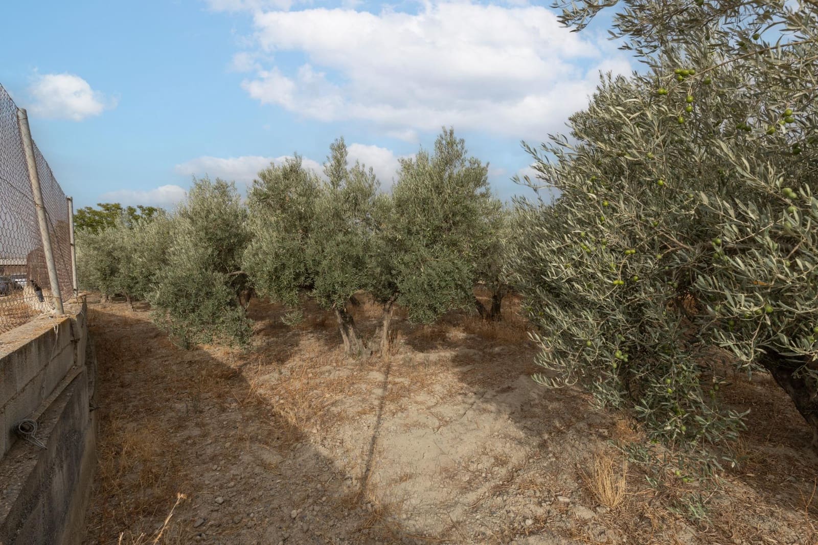 1 sypialnia Finka/Dom wiejski na sprzedaż w Alhendin z basenem garażem - 129 900 € (Ref: 9326562)