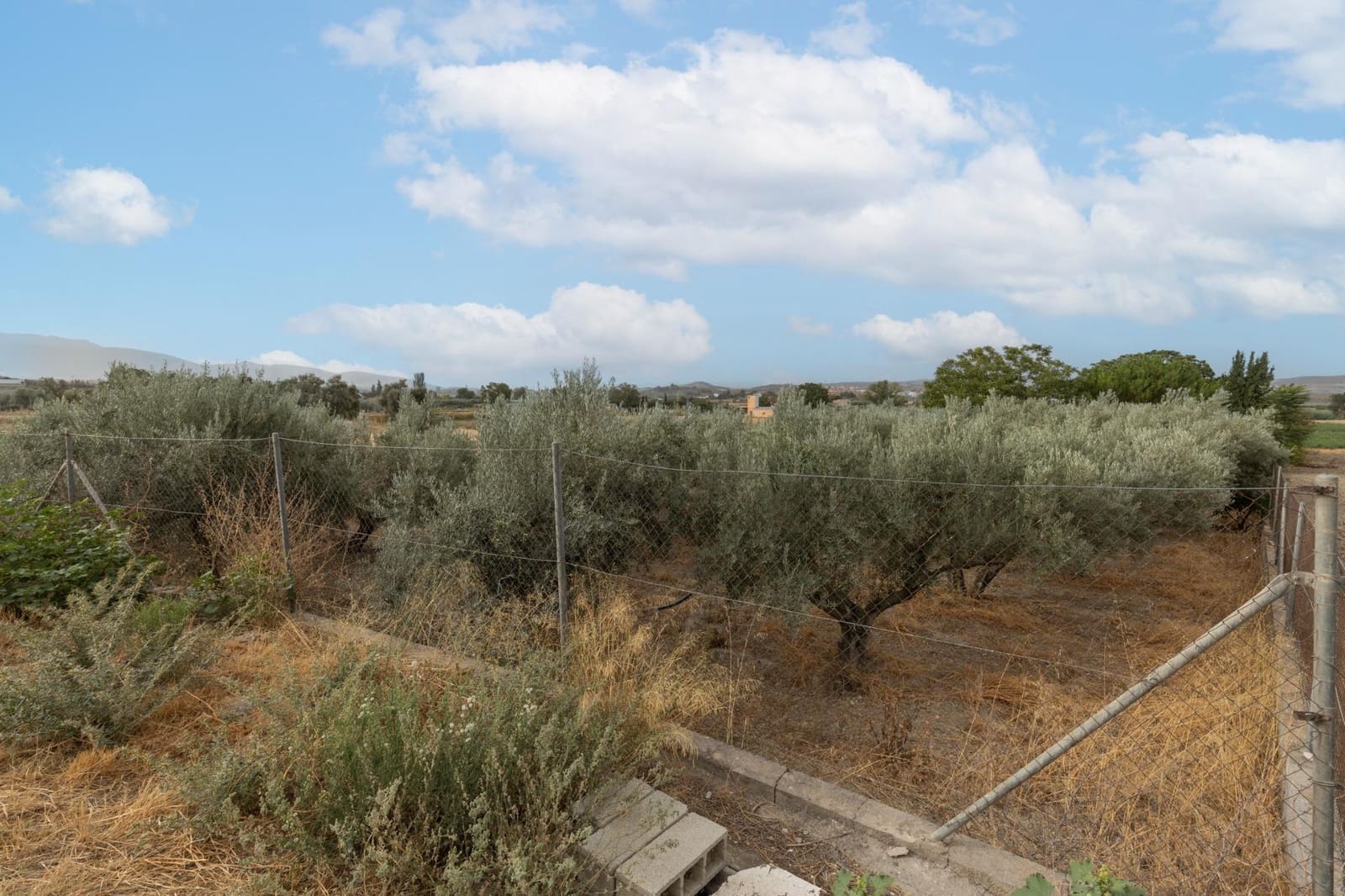 1 sypialnia Finka/Dom wiejski na sprzedaż w Alhendin z basenem garażem - 129 900 € (Ref: 9326562)