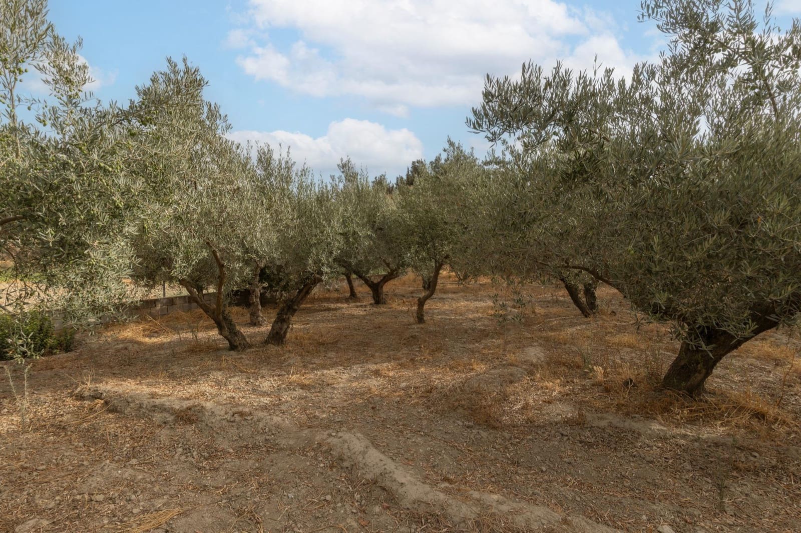 1 sypialnia Finka/Dom wiejski na sprzedaż w Alhendin z basenem garażem - 129 900 € (Ref: 9326562)