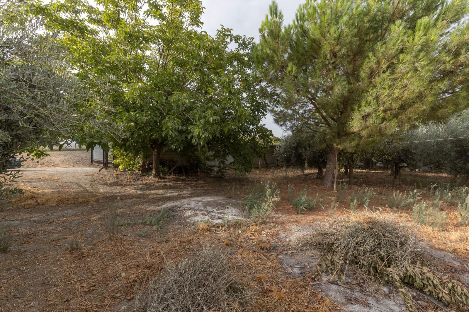 1 sypialnia Finka/Dom wiejski na sprzedaż w Alhendin z basenem garażem - 129 900 € (Ref: 9326562)