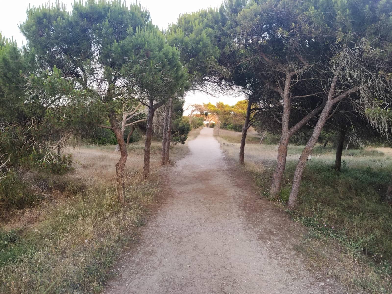 2 soverom Leilighet til salgs i Guardamar del Segura - € 118 500 (Ref: 9338246)