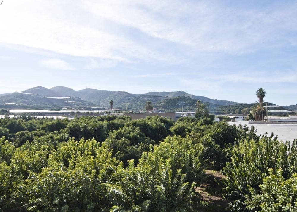 3 makuuhuone Maalaistalo myytävänä paikassa Motril - 1 100 000 € (Ref: 9419892)