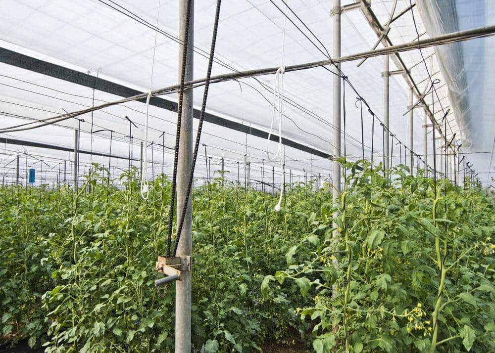 3 makuuhuone Maalaistalo myytävänä paikassa Motril - 1 100 000 € (Ref: 9419892)