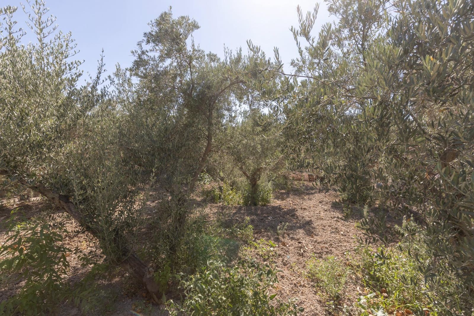 Finca/Casa Rural de 3 habitaciones en Santa Fe en venta con garaje - 199.900 € (Ref: 9509055)