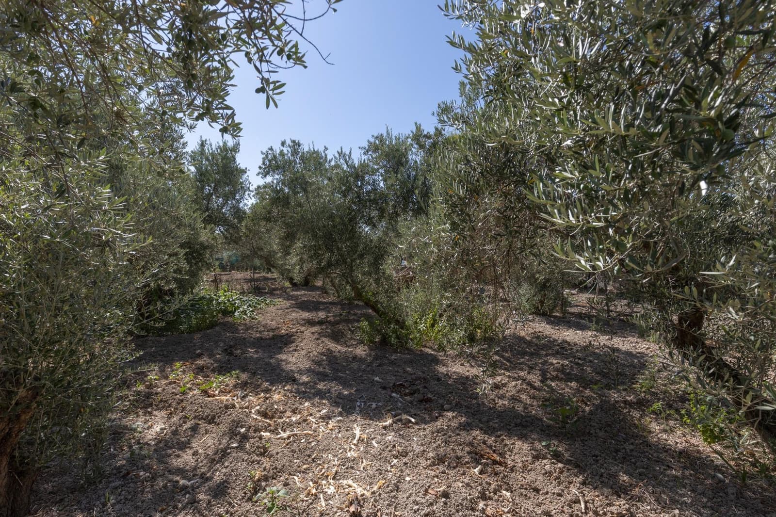 Finca/Casa Rural de 3 habitaciones en Santa Fe en venta con garaje - 199.900 € (Ref: 9509055)