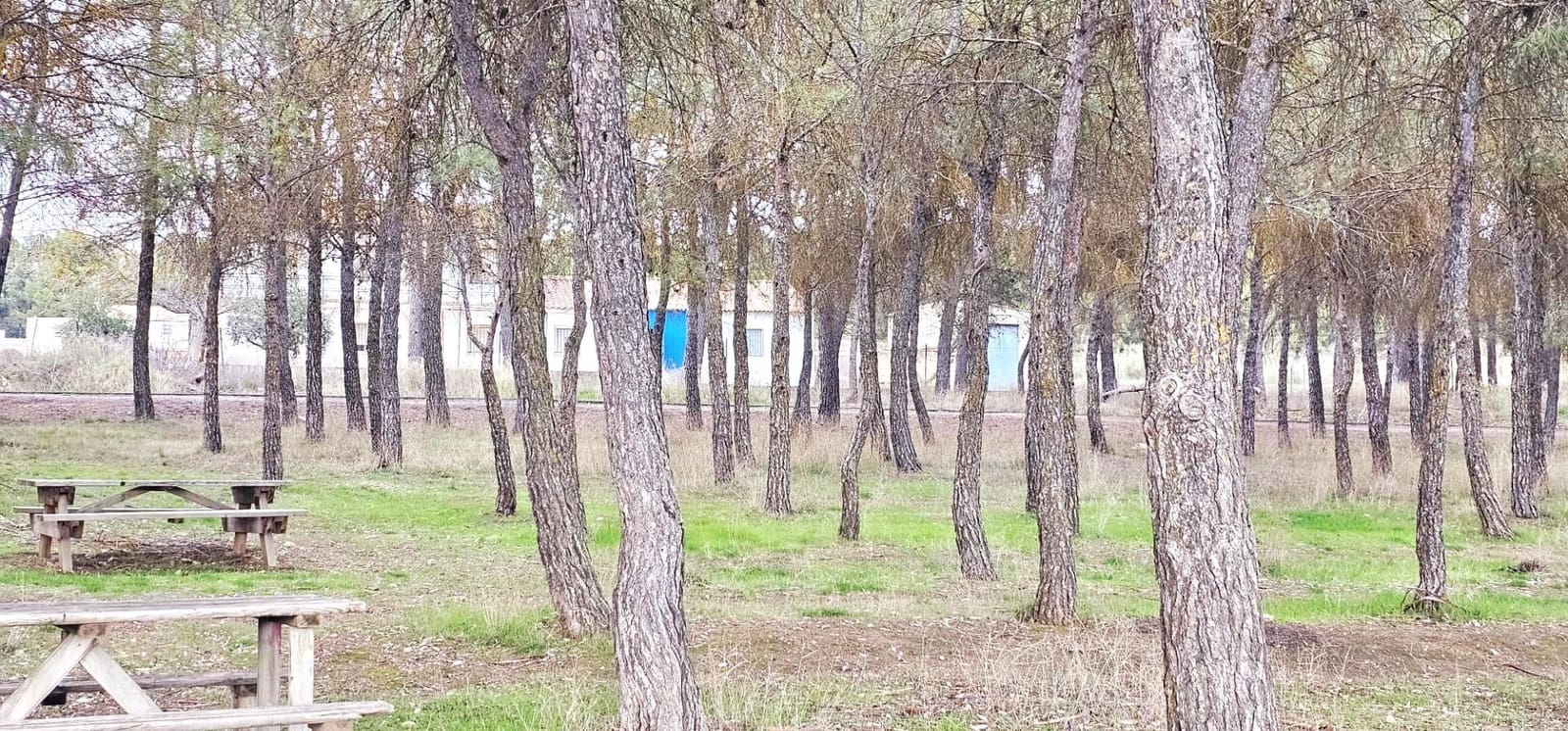 7 makuuhuone Huvila myytävänä paikassa Arenas del Rey - 477 250 € (Ref: 9513497)