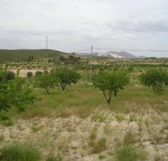Terreno Não Urbanizado para venda em Abanilla - 110 000 € (Ref: 9532070)