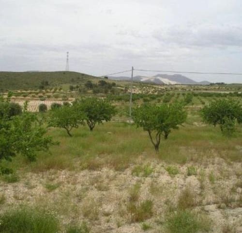 Terreno Não Urbanizado para venda em Abanilla - 110 000 € (Ref: 9532070)