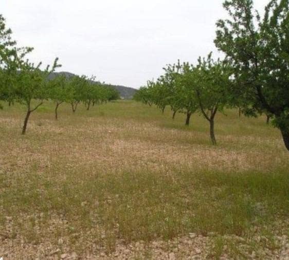 Terreno Não Urbanizado para venda em Abanilla - 110 000 € (Ref: 9532070)