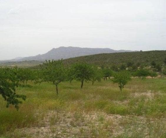 Terreno Não Urbanizado para venda em Abanilla - 110 000 € (Ref: 9532070)