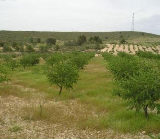 Terreno Não Urbanizado para venda em Abanilla - 110 000 € (Ref: 9532070)