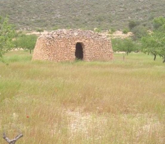 Terreno Não Urbanizado para venda em Abanilla - 110 000 € (Ref: 9532070)