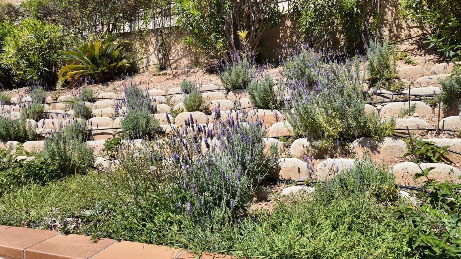 5 quarto Moradia para venda em Campoamor com garagem - 820 000 € (Ref: 9799733)