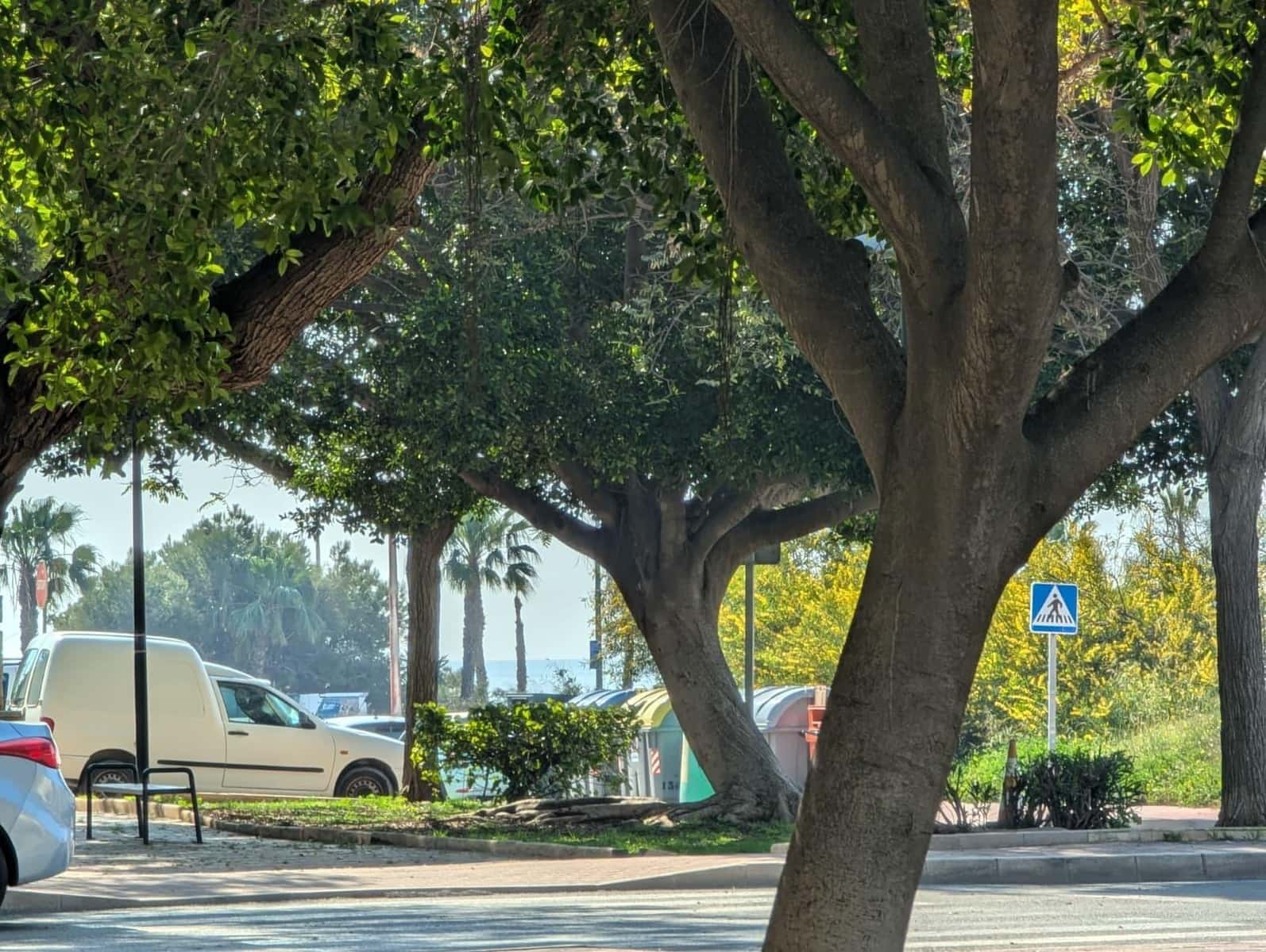 2 sovrum Lägenhet till salu i Torrevieja med garage - 168 900 € (Ref: 9799851)