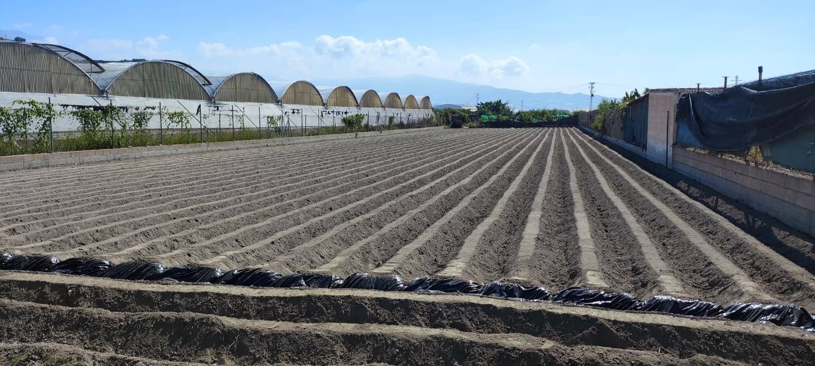 Ubebygd land til salgs i Motril - € 44 990 (Ref: 9962793)