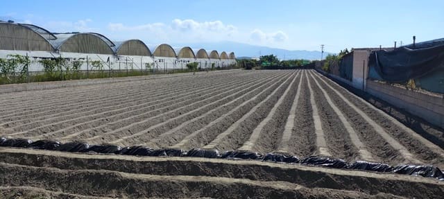 Undeveloped Land for sale in Motril - € 44,990 (Ref: 9962793)