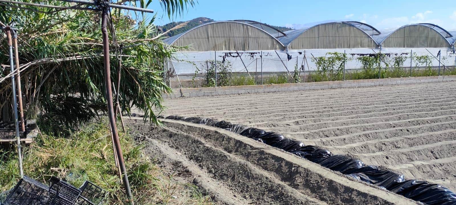 Ubebygd land til salgs i Motril - € 44 990 (Ref: 9962793)