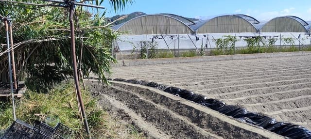 Undeveloped Land for sale in Motril - € 44,990 (Ref: 9962793)