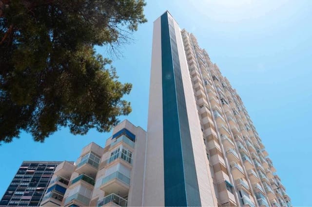 Apartamento de 1 habitación en Benidorm en alquiler con piscina - 900 € (Ref: 10061290)