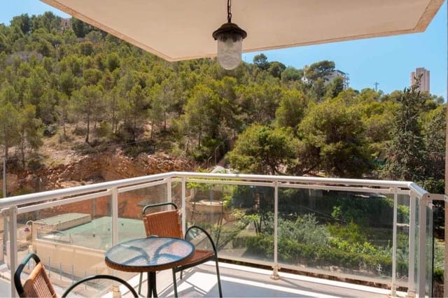 Apartamento de 1 habitación en Benidorm en alquiler con piscina - 900 € (Ref: 10061290)