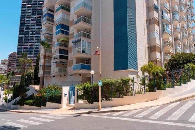 Apartamento de 1 habitación en Benidorm en alquiler con piscina - 900 € (Ref: 10061290)